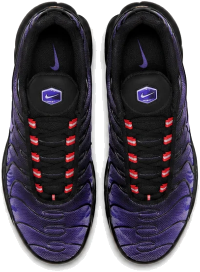 Nike Air Max Plus Energy Purple Kids