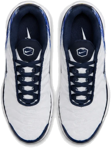 Nike Air Max Plus Blue White Strong Kids