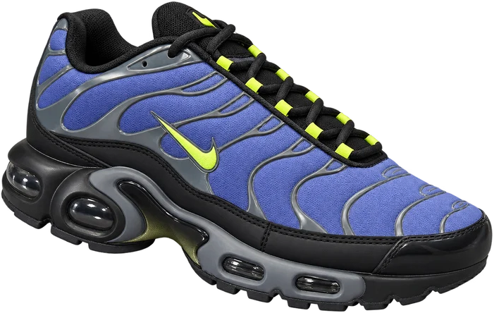 Nike Air MaX Plus TN Purple Wolt