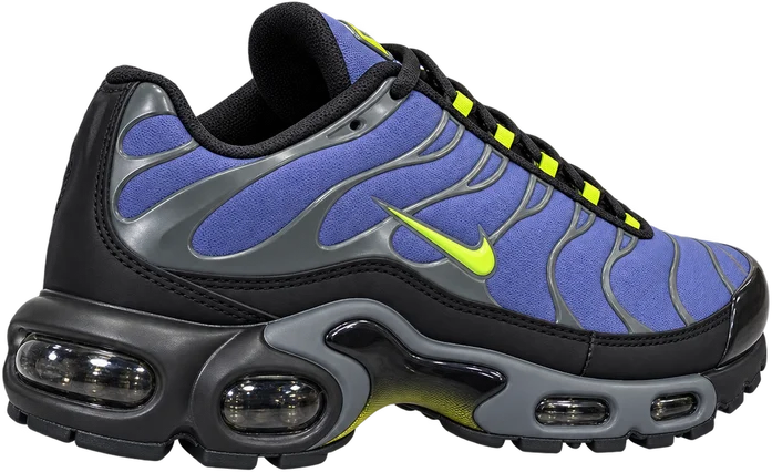 Nike Air MaX Plus TN Purple Wolt