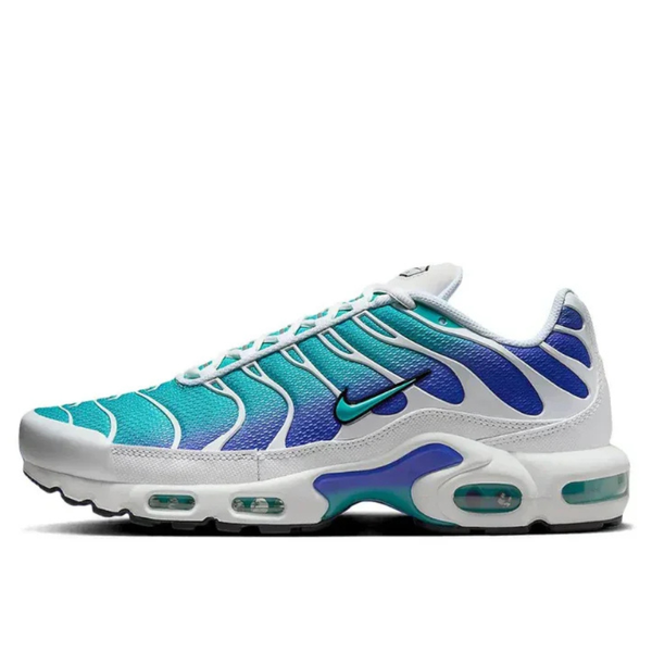 Nike Air Max Plus White Blue Kids