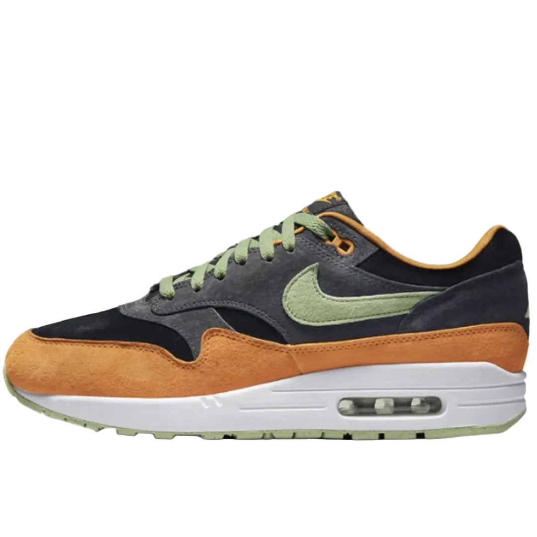 Nike Air Max 1 PRM Duck Anthracite