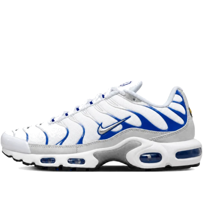 Nike Air Max Plus TN Blue Gradient