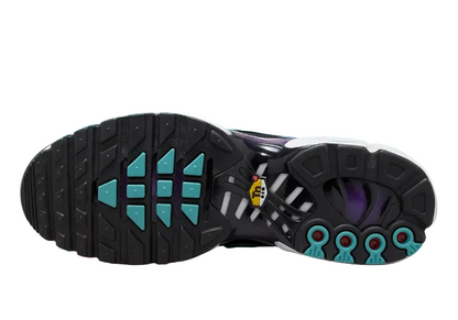 Nike Air Max Plus TN Reverse Grape