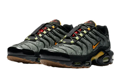 Nike Air Max TN Compass