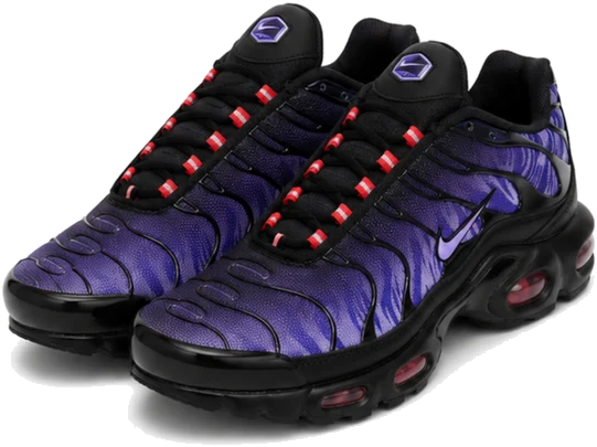 Nike Air Max Plus Energy Purple Kids