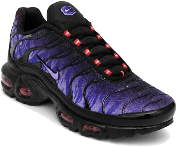 Nike Air Max Plus Energy Purple Kids