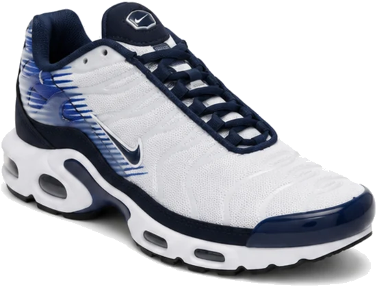 Nike Air Max Plus Blue White Strong Kids