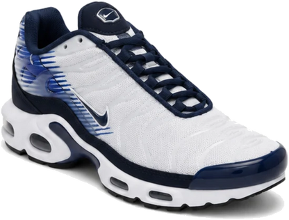 Nike Air Max Plus Blue White Strong Kids